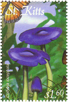 Briefmarke