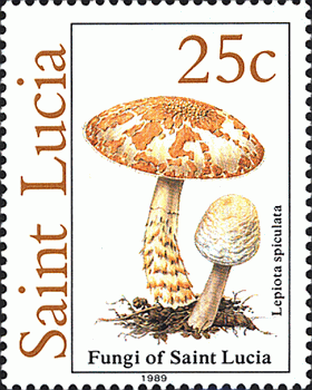 Briefmarke