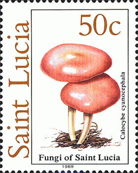Briefmarke