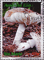 Briefmarke