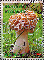 Briefmarke