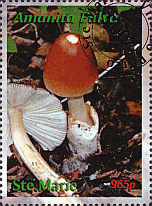 Briefmarke