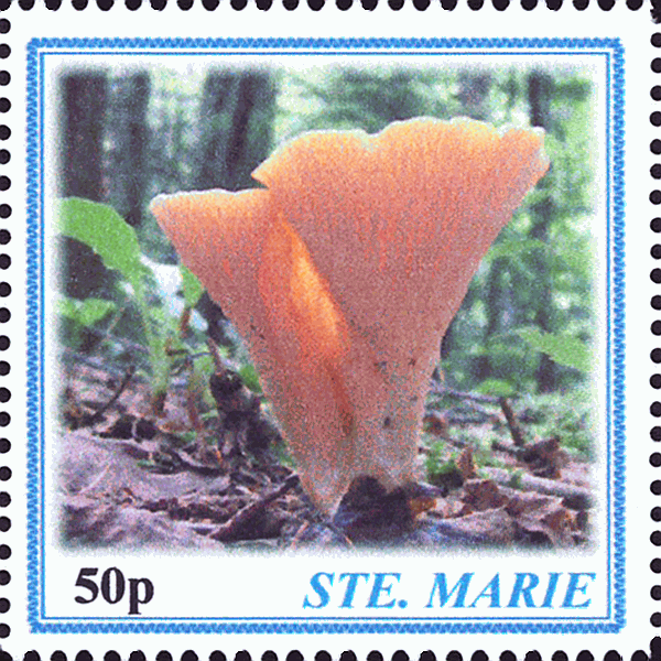 Briefmarke