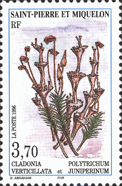 Briefmarke