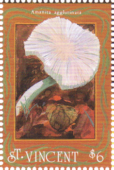 Briefmarke