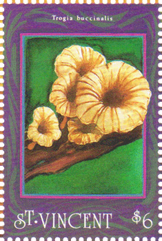 Briefmarke