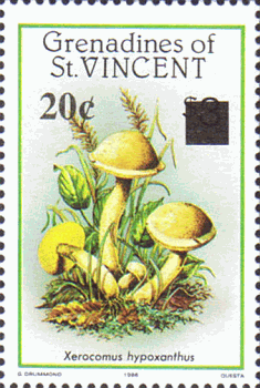 Briefmarke