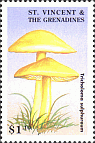 Briefmarke