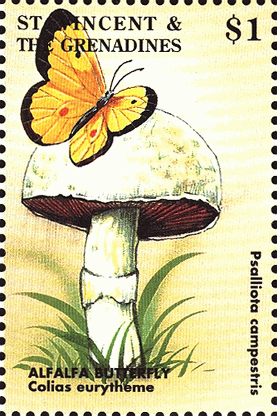 Briefmarke