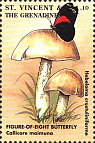 Briefmarke