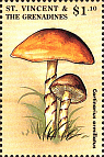 Briefmarke