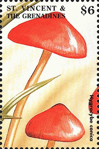Briefmarke