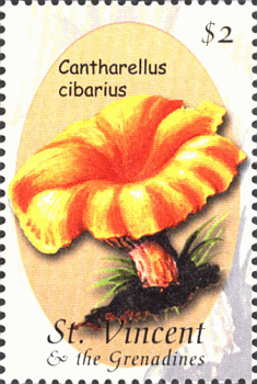 Briefmarke