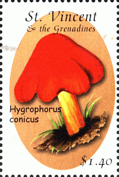 Briefmarke