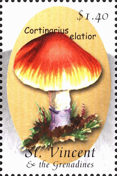 Briefmarke