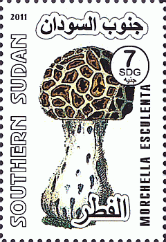 Briefmarke