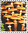 Briefmarke
