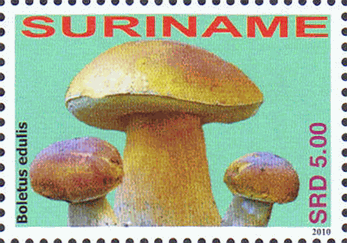 Briefmarke