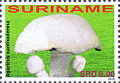 Briefmarke