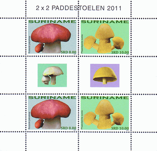 Kleinbogen