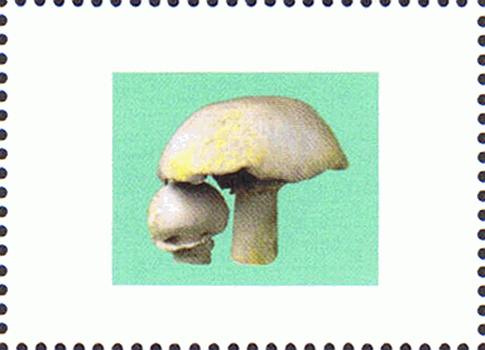 illustriertes Leerfeld