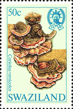 Briefmarke