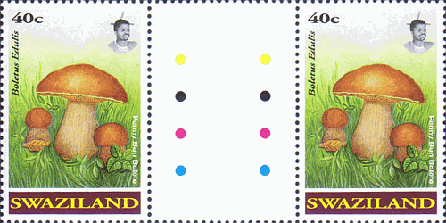 Zusammendruck