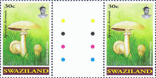 Zusammendruck