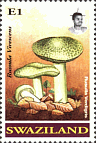 Briefmarke