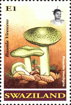 Briefmarke
