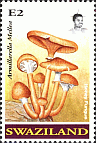 Briefmarke
