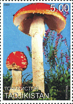Briefmarke