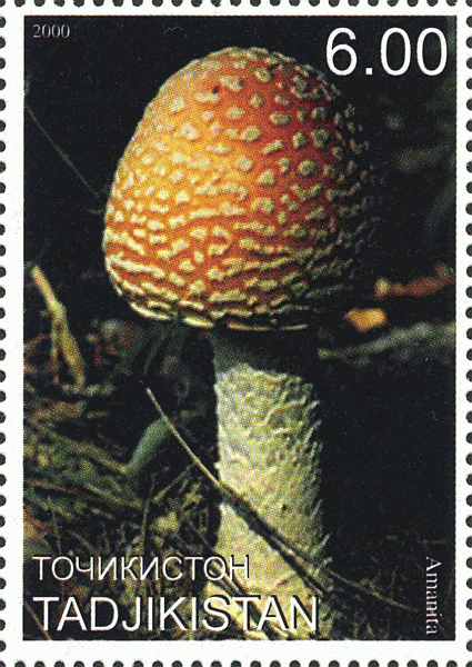 Briefmarke