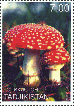 Briefmarke