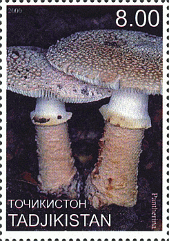 Briefmarke
