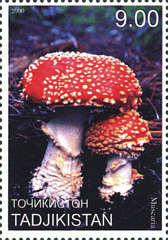 Briefmarke