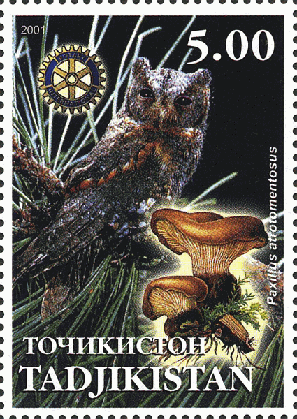 Briefmarke