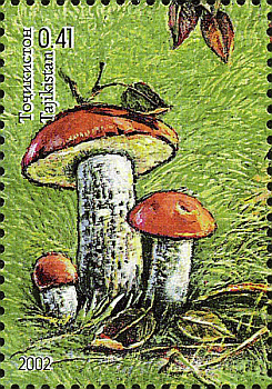 Briefmarke