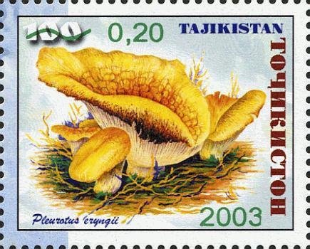 Briefmarke