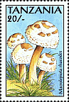 Briefmarke