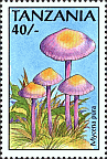 Briefmarke