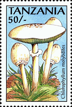 Briefmarke