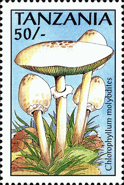 Briefmarke