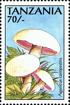 Briefmarke