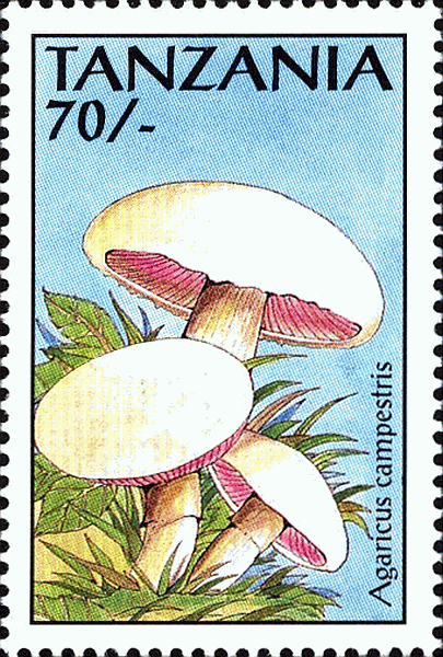 Briefmarke