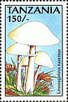 Briefmarke