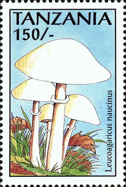 Briefmarke