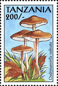 Briefmarke