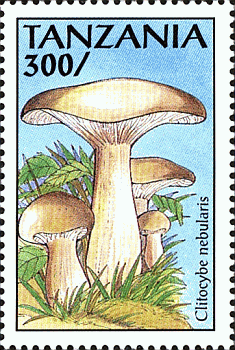 Briefmarke