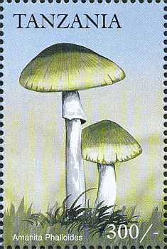 Briefmarke